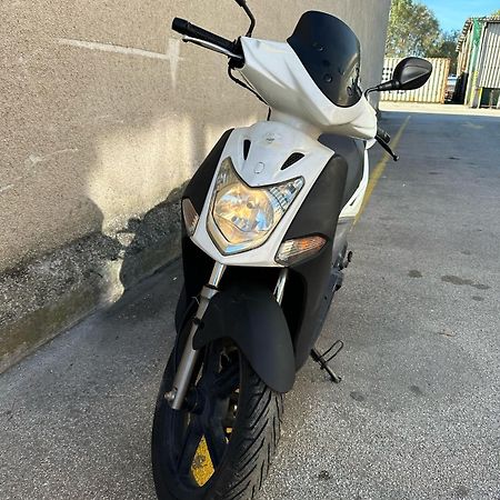 Villa Andrea Koper városi község Kültér fotó